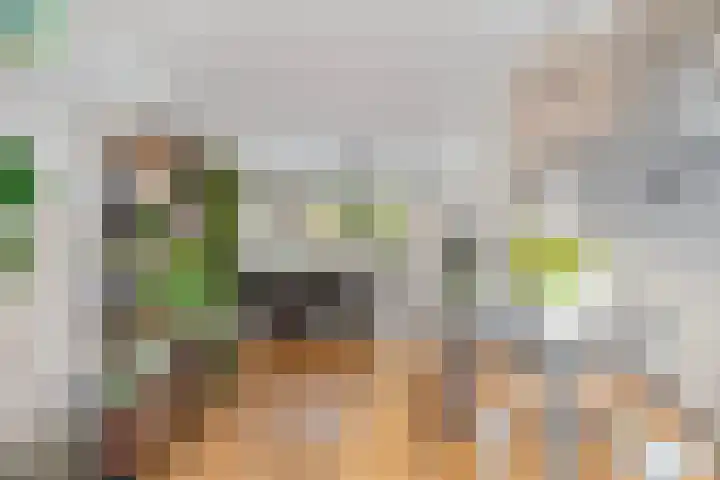 Botter 6 Meppel thumbnail 11