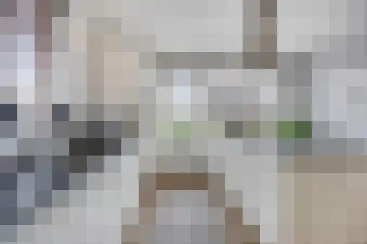 Botter 6 Meppel thumbnail 11
