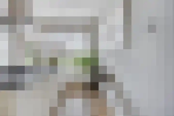 Botter 6 Meppel thumbnail 12