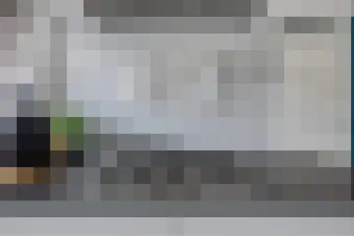Botter 6 Meppel thumbnail 13