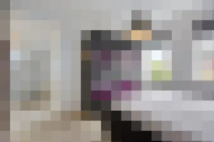 Botter 6 Meppel thumbnail 17