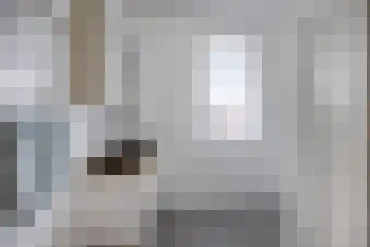 Botter 6 Meppel thumbnail 18