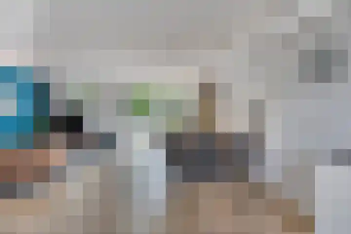 Botter 6 Meppel foto 2