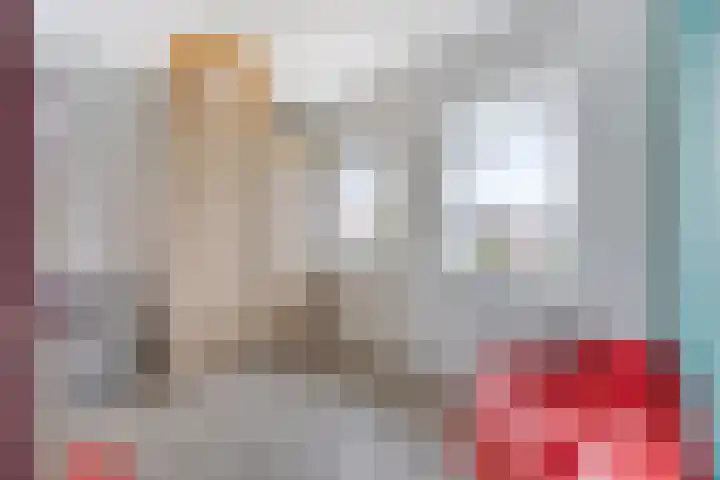 Botter 6 Meppel thumbnail 23