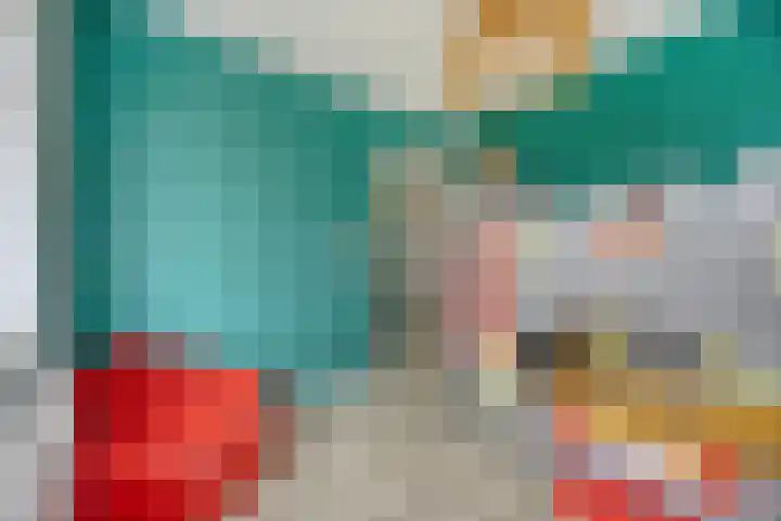 Botter 6 Meppel thumbnail 24