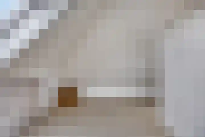 Botter 6 Meppel thumbnail 26
