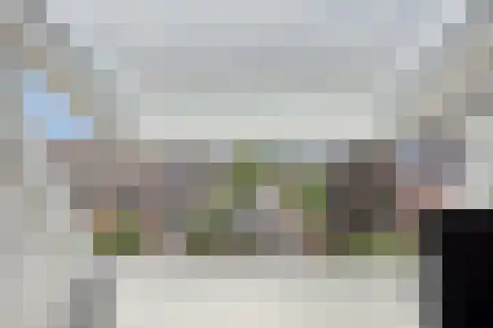 Botter 6 Meppel thumbnail 29