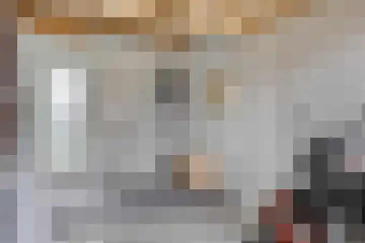 Botter 6 Meppel thumbnail 30