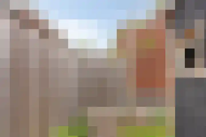 Botter 6 Meppel thumbnail 33