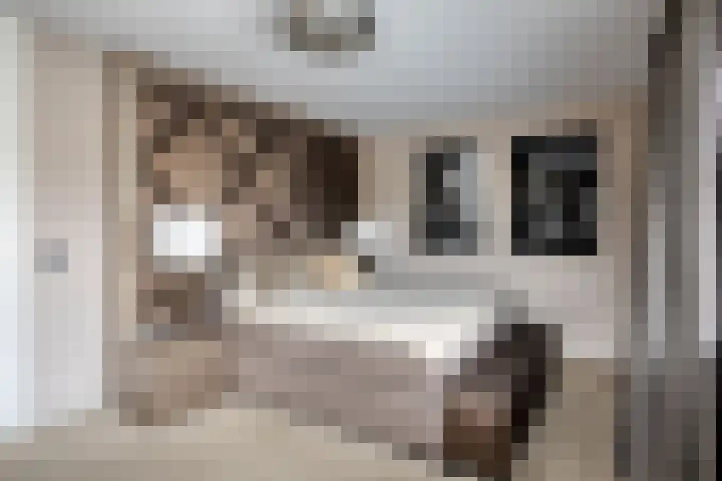 Botter 6 Meppel thumbnail 35