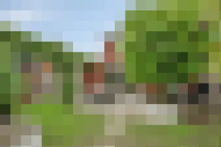 Botter 6 Meppel thumbnail 37