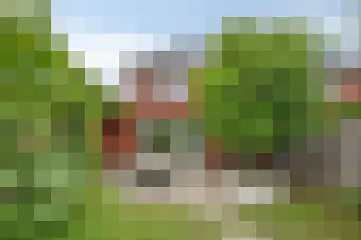 Botter 6 Meppel thumbnail 38