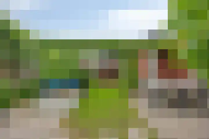 Botter 6 Meppel thumbnail 4