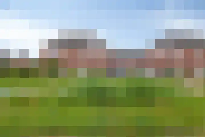 Botter 6 Meppel thumbnail 41