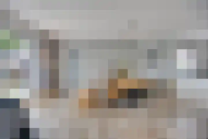 Botter 6 Meppel thumbnail 7