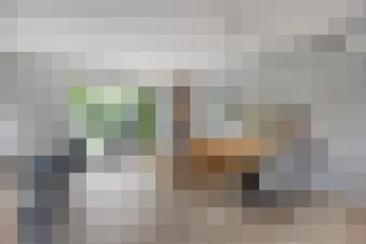 Botter 6 Meppel thumbnail 8