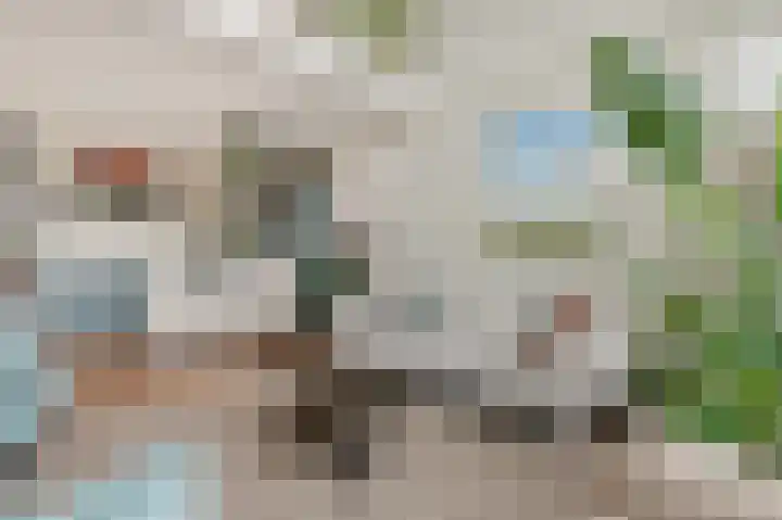Botter 65 Alblasserdam thumbnail 15