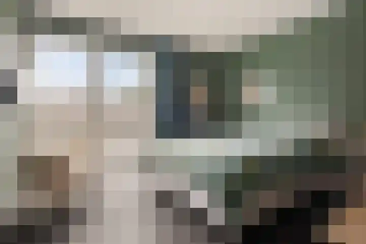 Botter 65 Alblasserdam thumbnail 31