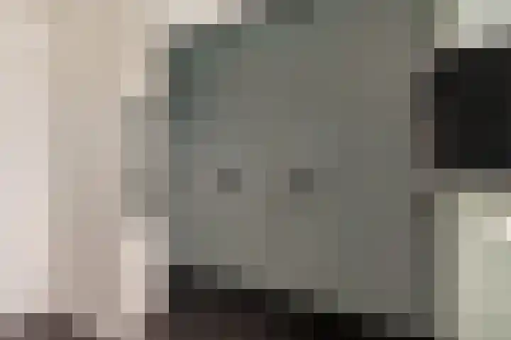 Botter 65 Alblasserdam thumbnail 34