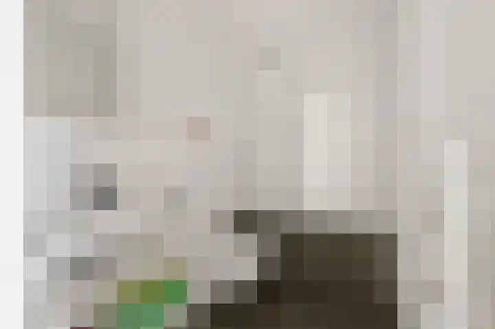 Botter 65 Alblasserdam thumbnail 41