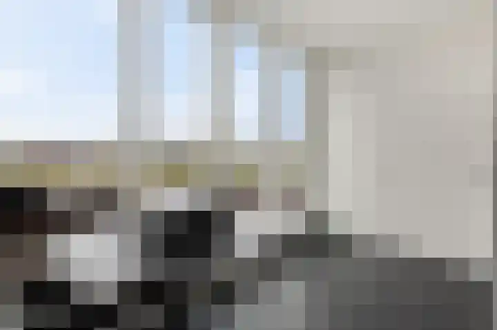 Botter 65 Alblasserdam thumbnail 43