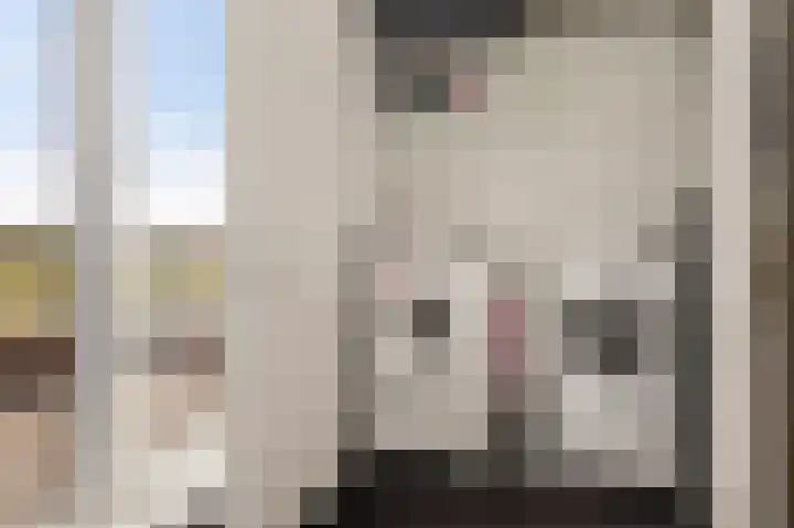Botter 65 Alblasserdam thumbnail 44