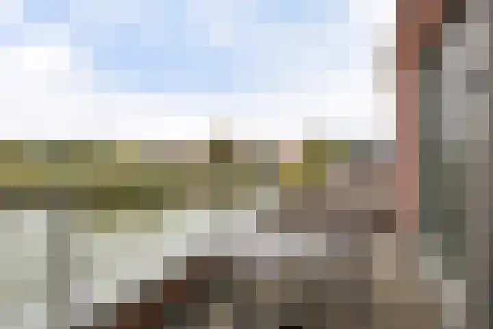 Botter 65 Alblasserdam thumbnail 46