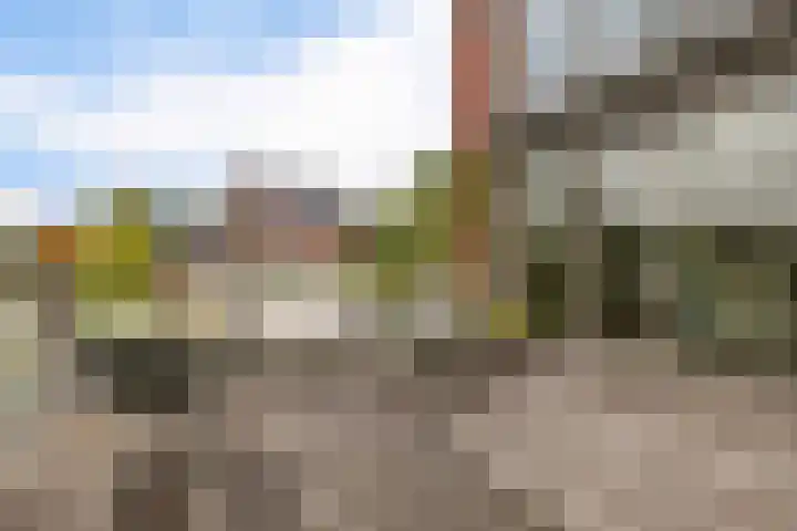 Botter 65 Alblasserdam thumbnail 49