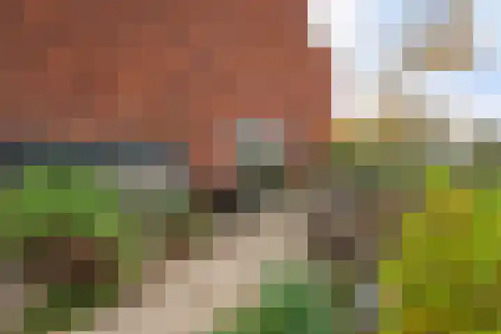 Botter 65 Alblasserdam thumbnail 51