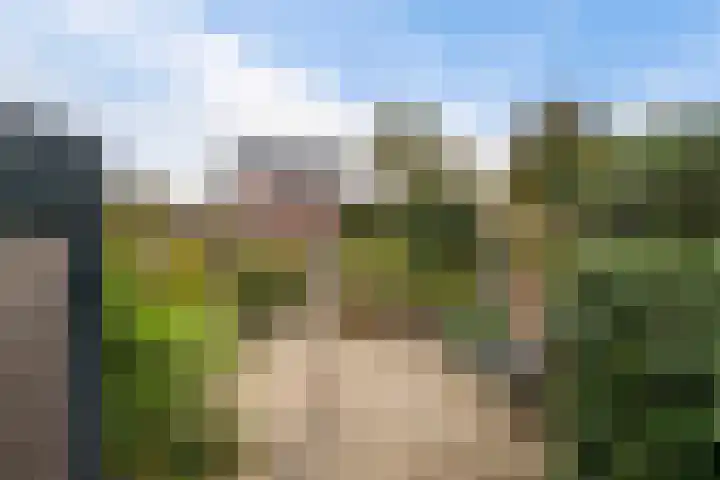 Botter 65 Alblasserdam thumbnail 52