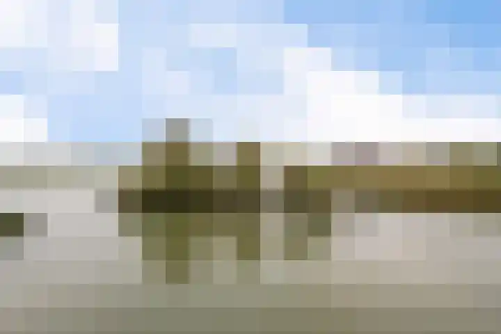 Botter 65 Alblasserdam thumbnail 56