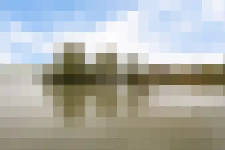 Botter 65 Alblasserdam thumbnail 57