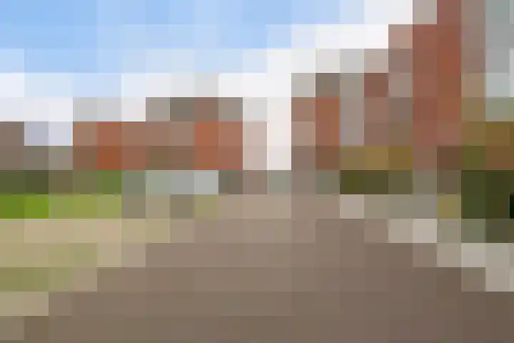 Botter 65 Alblasserdam thumbnail 58