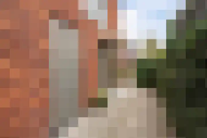 Botter 65 Alblasserdam thumbnail 7