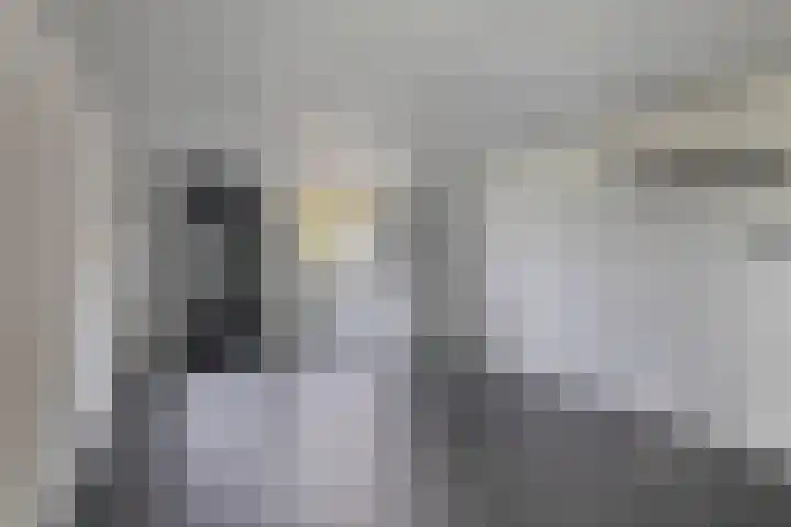 Botter 74 Lemmer thumbnail 20