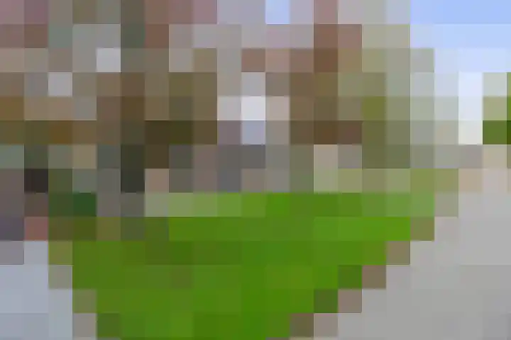Botter 74 Lemmer thumbnail 39