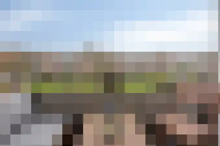 Botterboulevard 50 Haarlem thumbnail 27