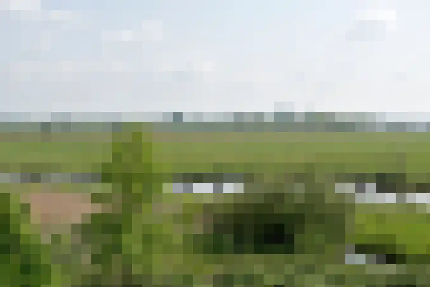 Botterboulevard 50 Haarlem thumbnail 37