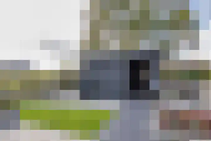 Botterhof 28 Harlingen thumbnail 14
