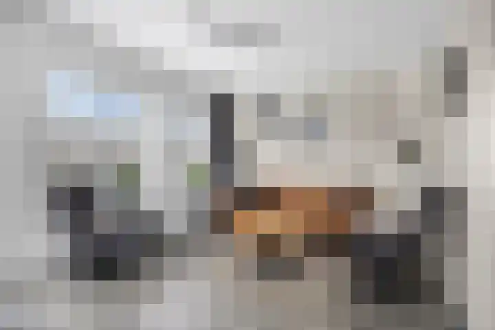 Botterhof 28 Harlingen thumbnail 20