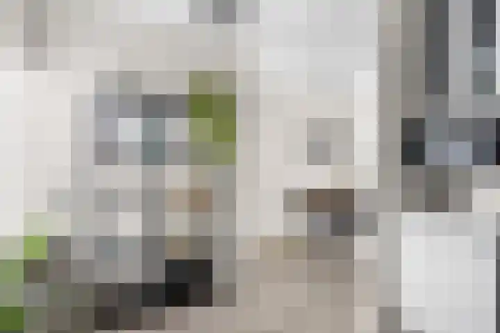 Botterhof 28 Harlingen thumbnail 24