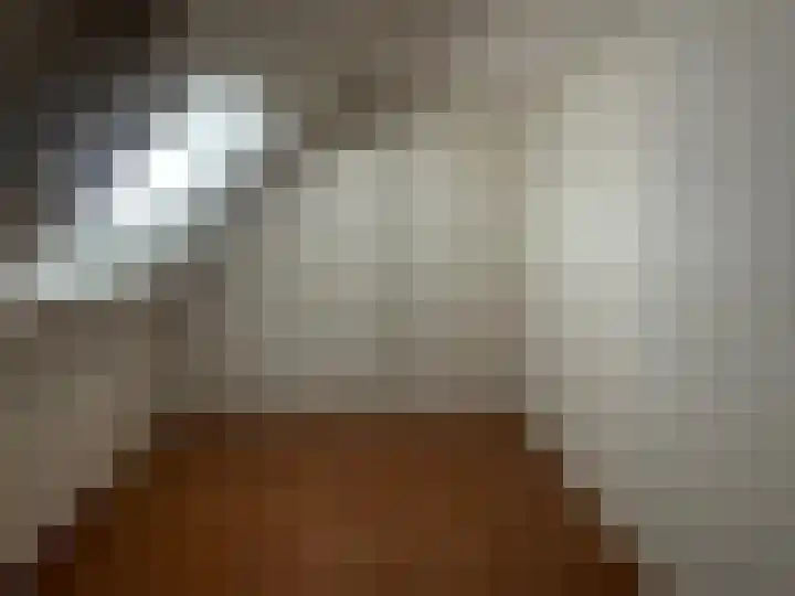Botterhof 5 Harlingen thumbnail 11