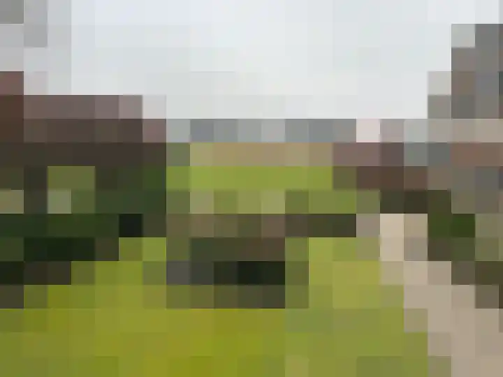 Botterhof 5 Harlingen thumbnail 13