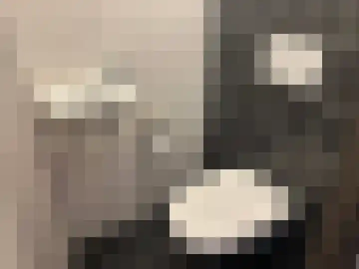 Botterhof 5 Harlingen thumbnail 8