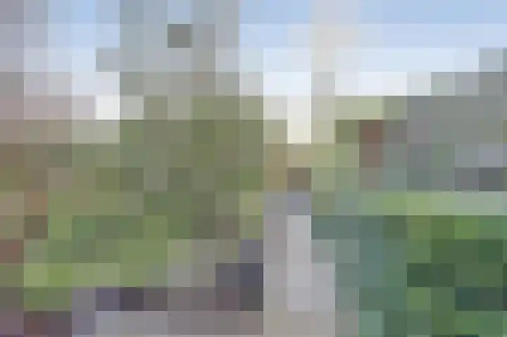 Botterhof 9 Harlingen thumbnail 27