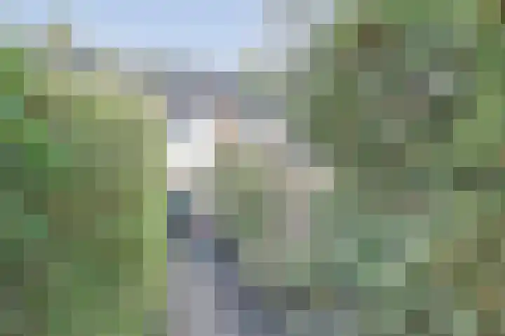 Botterhof 9 Harlingen thumbnail 29