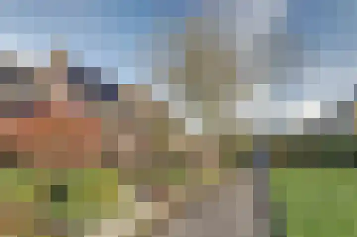 Botterhof 9 Harlingen thumbnail 31