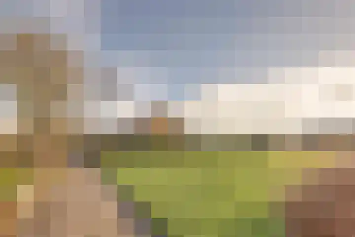 Botterhof 9 Harlingen thumbnail 33