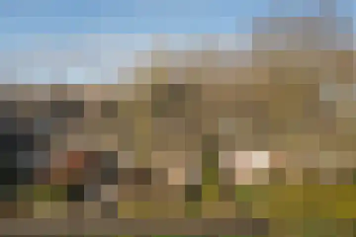 Botterhof 9 Harlingen thumbnail 35