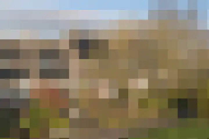 Botterhof 9 Harlingen thumbnail 36